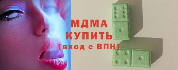 шишки Гусиноозёрск